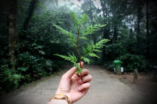 Photo Écologie : expertise, fiabilité et engagement durable